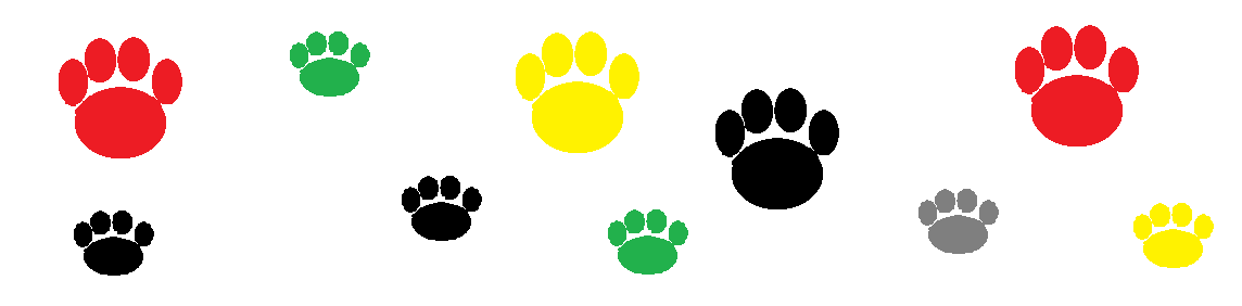 Stop Cosmetic Testing On animals